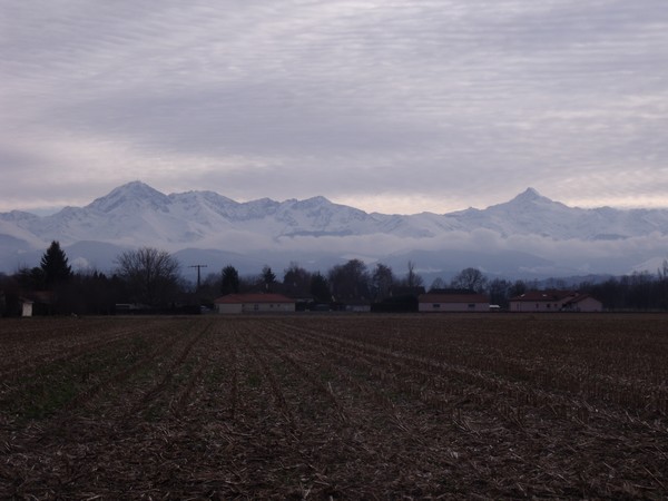 Photos Pyrénées le 17 janvier 2013 003