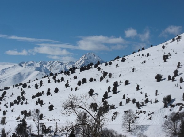 Col d'Aspin (vélo + marche) le 13 février 2015 176