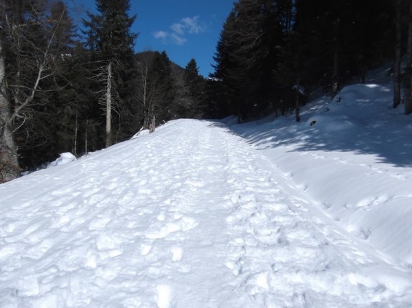 Col d'Aspin (vélo + marche) le 13 février 2015 078