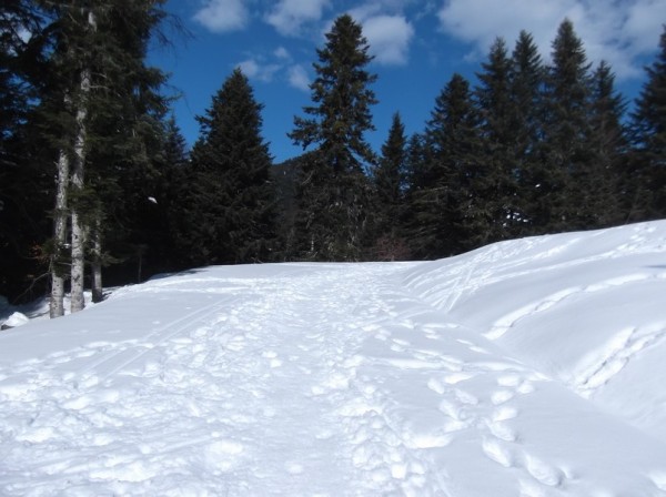 Col d'Aspin (vélo + marche) le 13 février 2015 095