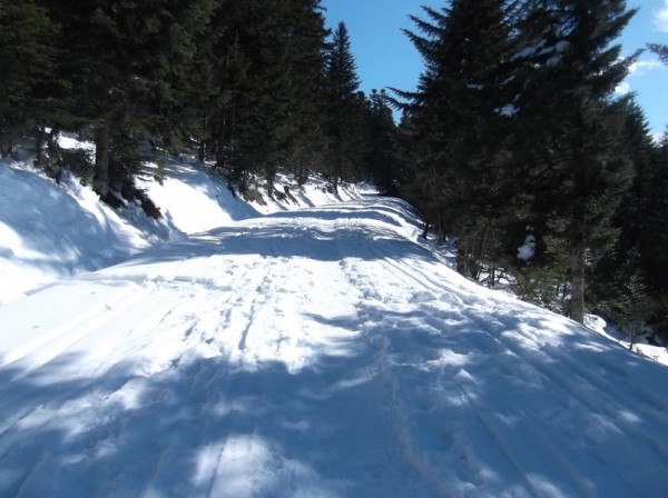 Col d'Aspin (vélo + marche) le 13 février 2015 096