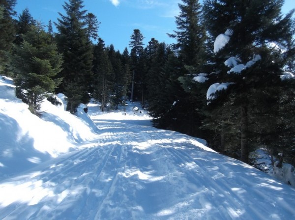 Col d'Aspin (vélo + marche) le 13 février 2015 099