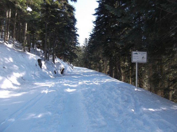 Col d'Aspin (vélo + marche) le 13 février 2015 113