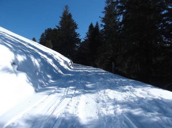 Col d'Aspin (vélo + marche) le 13 février 2015 118