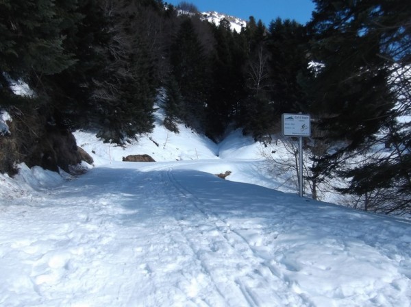 Col d'Aspin (vélo + marche) le 13 février 2015 133