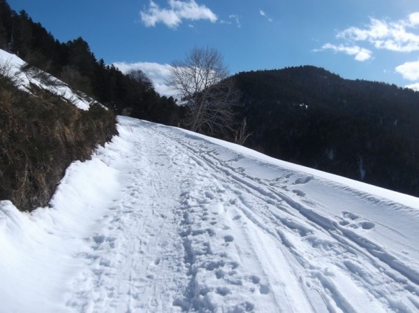 Col d'Aspin (vélo + marche) le 13 février 2015 136