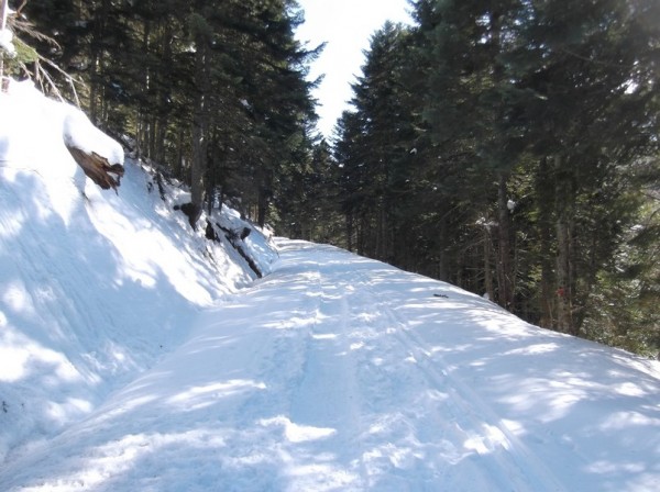 Col d'Aspin (vélo + marche) le 13 février 2015 141