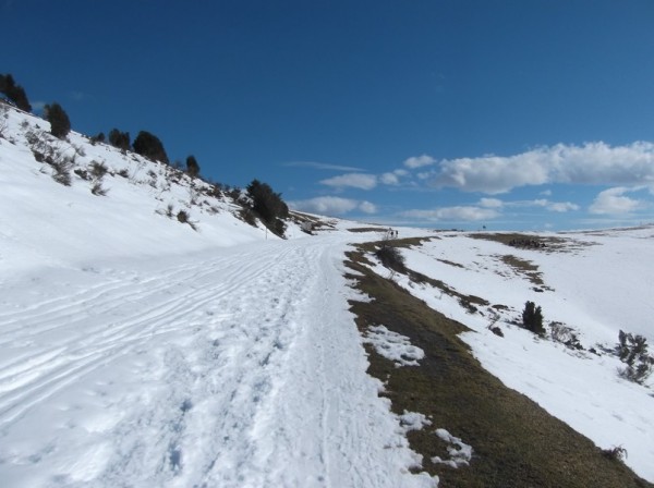 Col d'Aspin (vélo + marche) le 13 février 2015 145