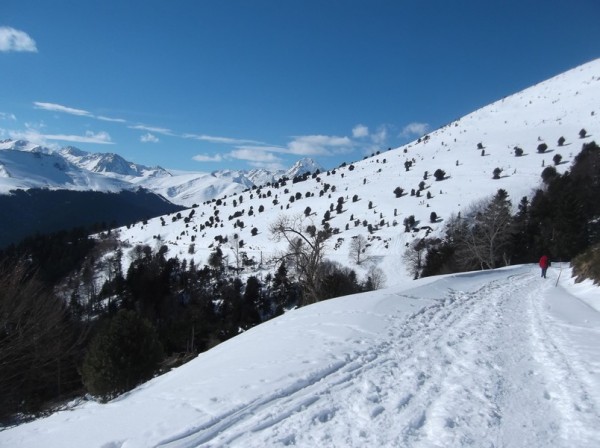 Col d'Aspin (vélo + marche) le 13 février 2015 174