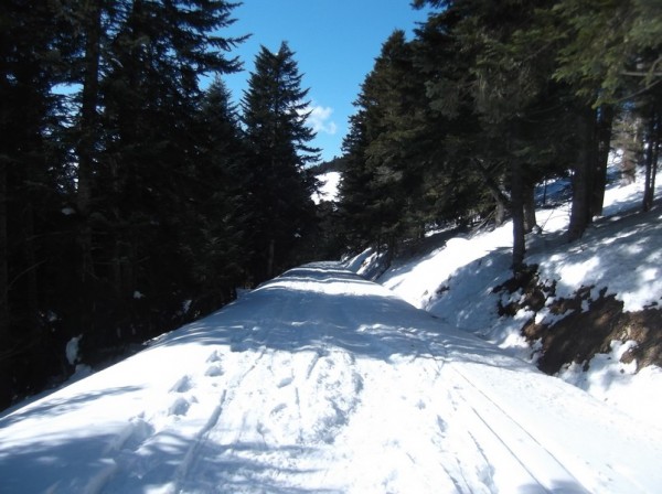 Col d'Aspin (vélo + marche) le 13 février 2015 186