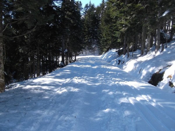 Col d'Aspin (vélo + marche) le 13 février 2015 187