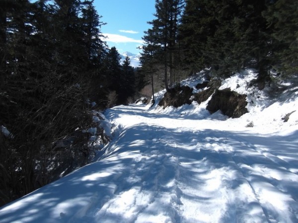 Col d'Aspin (vélo + marche) le 13 février 2015 188