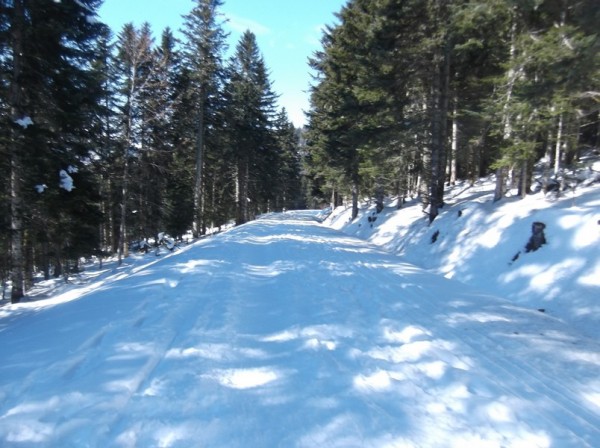 Col d'Aspin (vélo + marche) le 13 février 2015 195