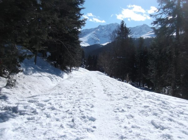 Col d'Aspin (vélo + marche) le 13 février 2015 198