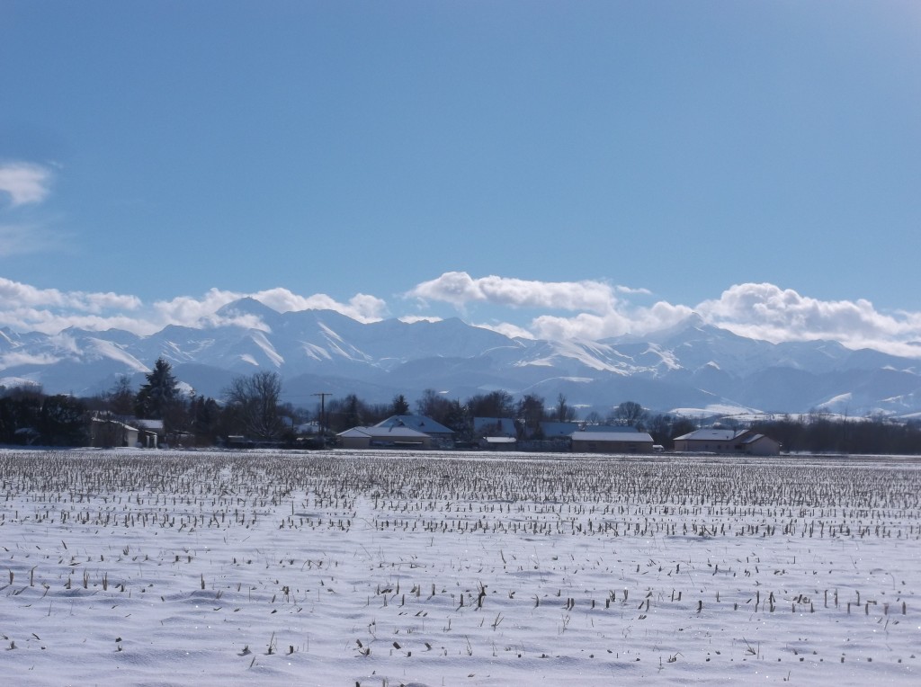 Pyrénées 3 février 2015 020