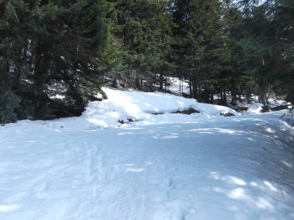 Col d'Aspin 8 mars 2015 094