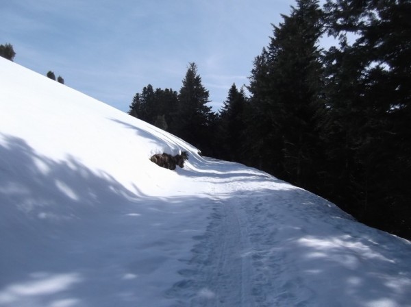 Col d'Aspin 8 mars 2015 098