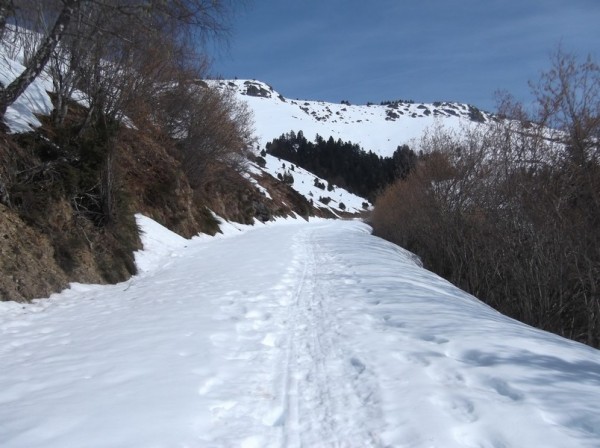 Col d'Aspin 8 mars 2015 099