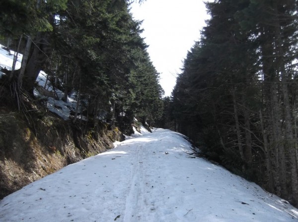 Col d'Aspin 8 mars 2015 111