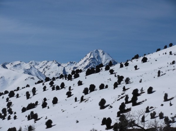 Col d'Aspin 8 mars 2015 157