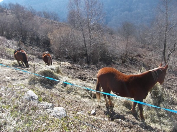 Tour des Baronnies 10 mars 2015 090